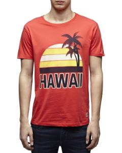 12073681POPPY RED