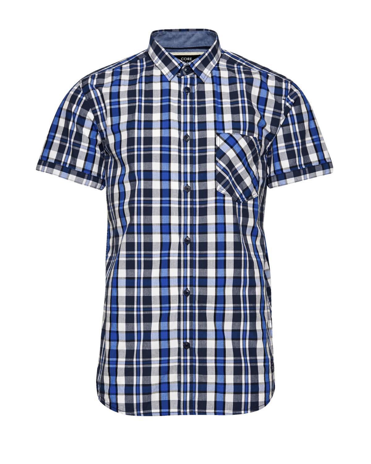 12086293WHITE TURK