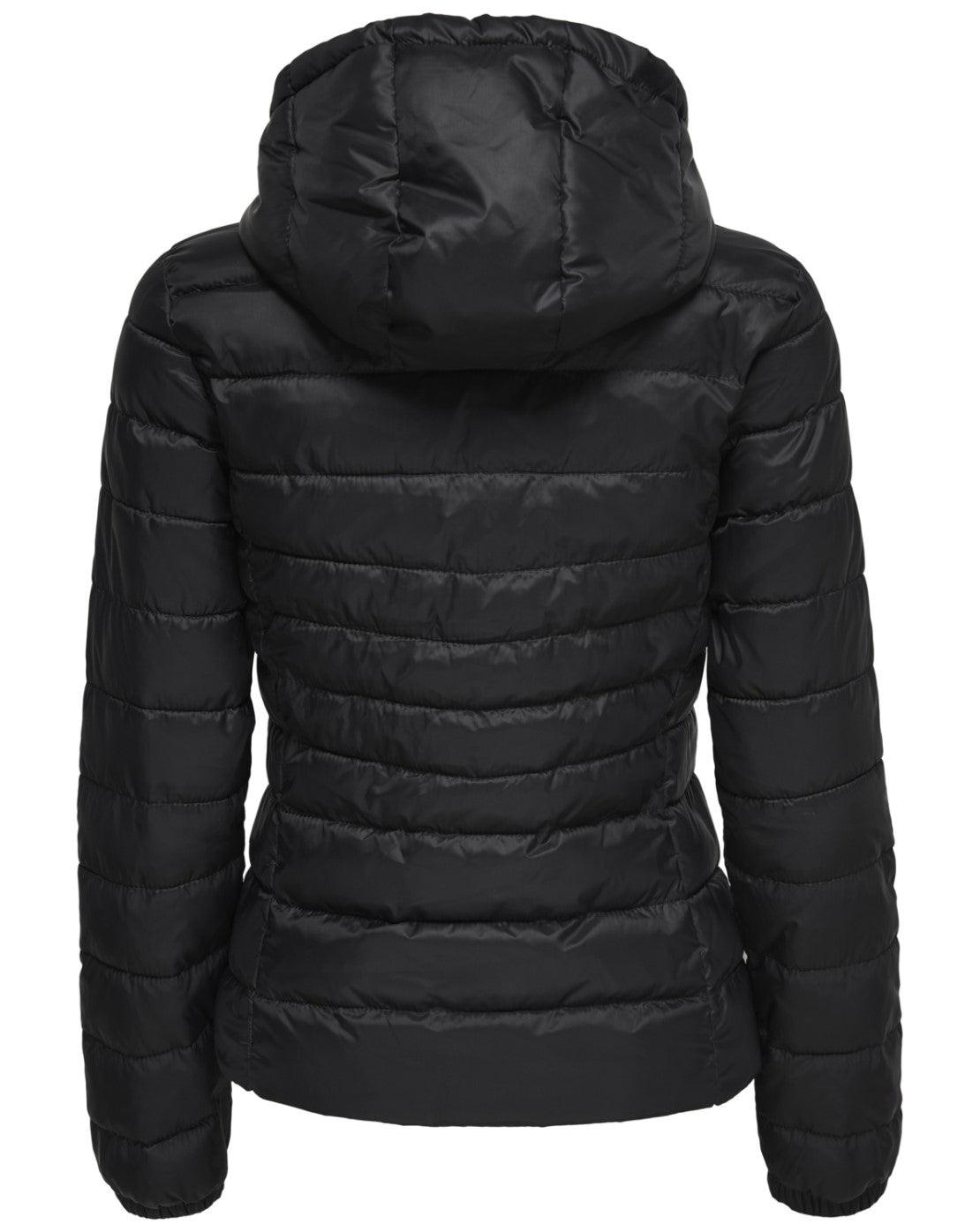 15156569BLACK_1_P