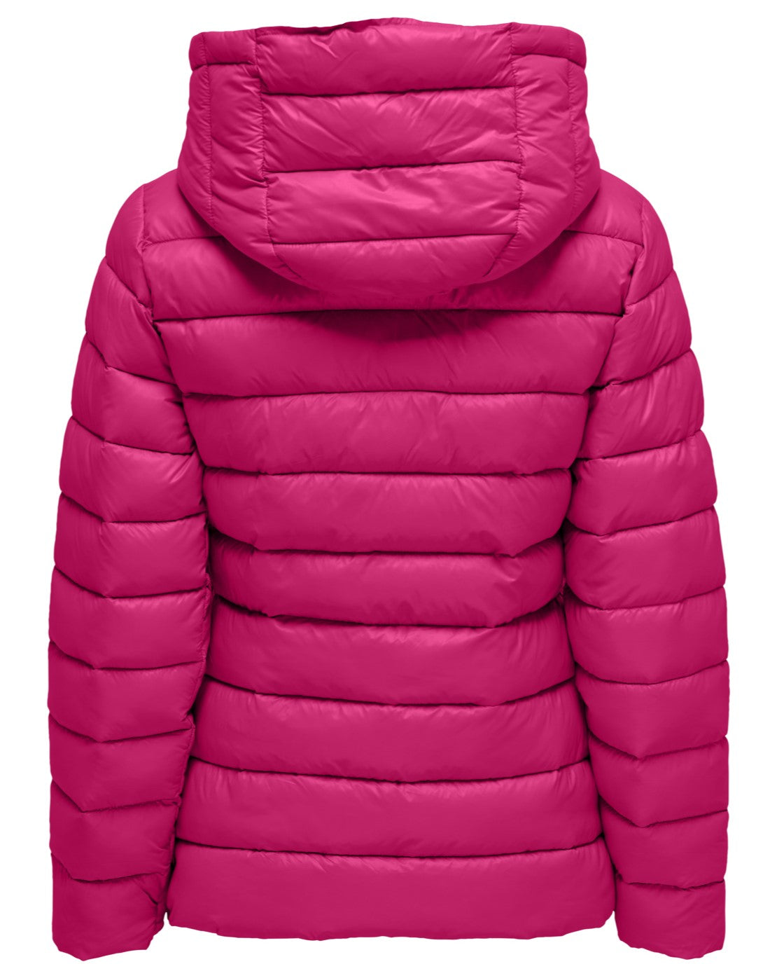 15275000PINK YARROW_1_P