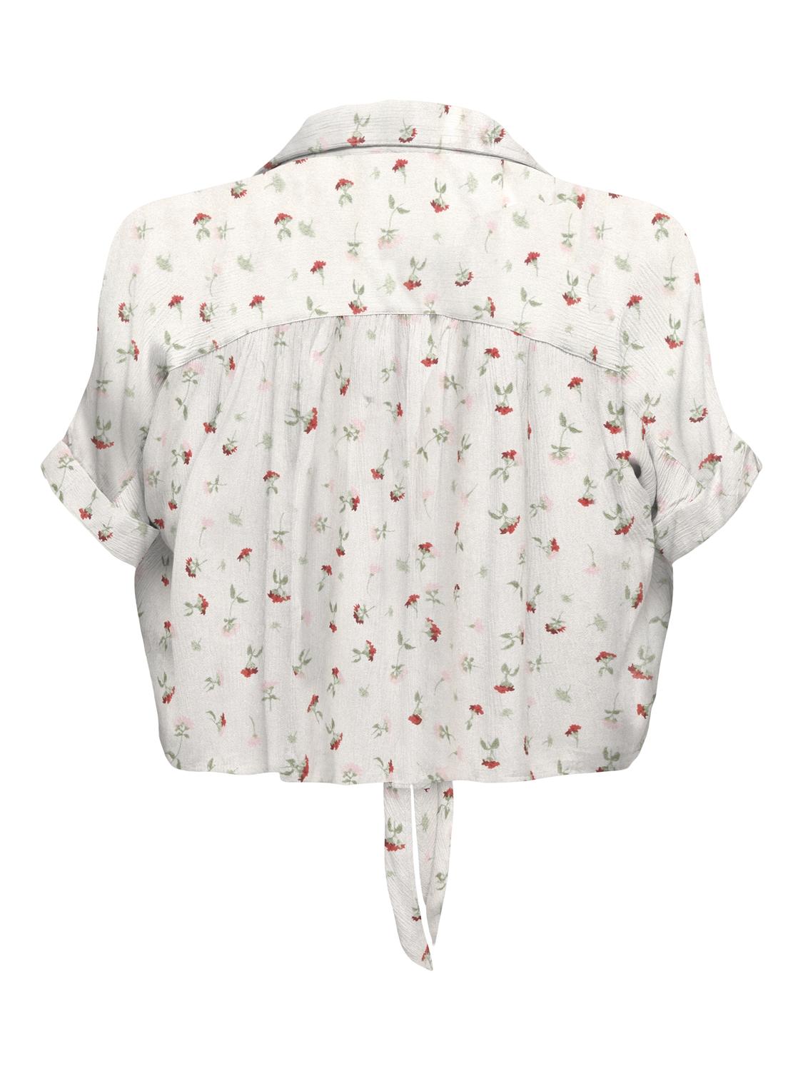 15281497CLOUD DANCER()LUNA FLOWE_1_P