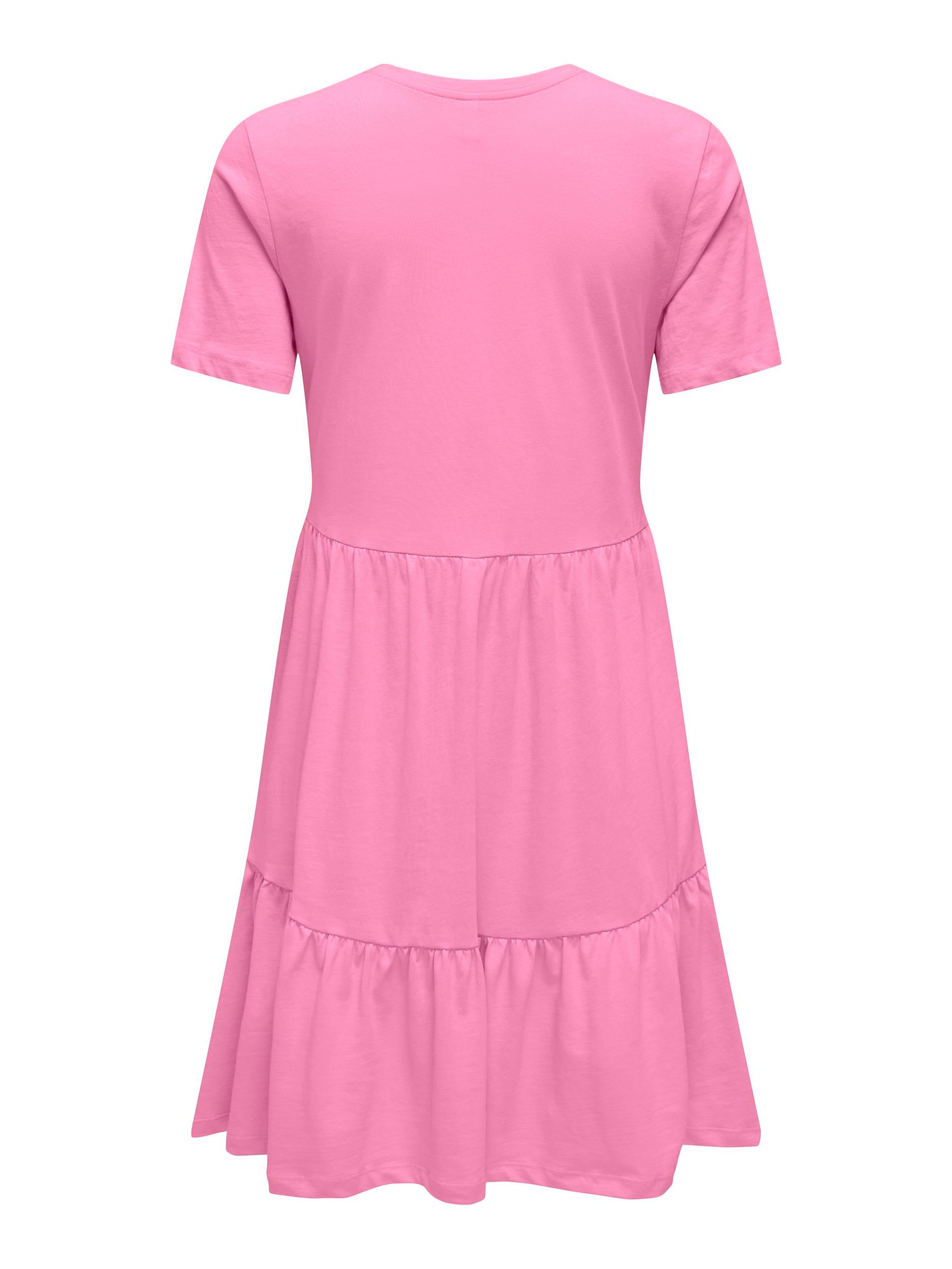 15286934BEGONIA PINK_1_P