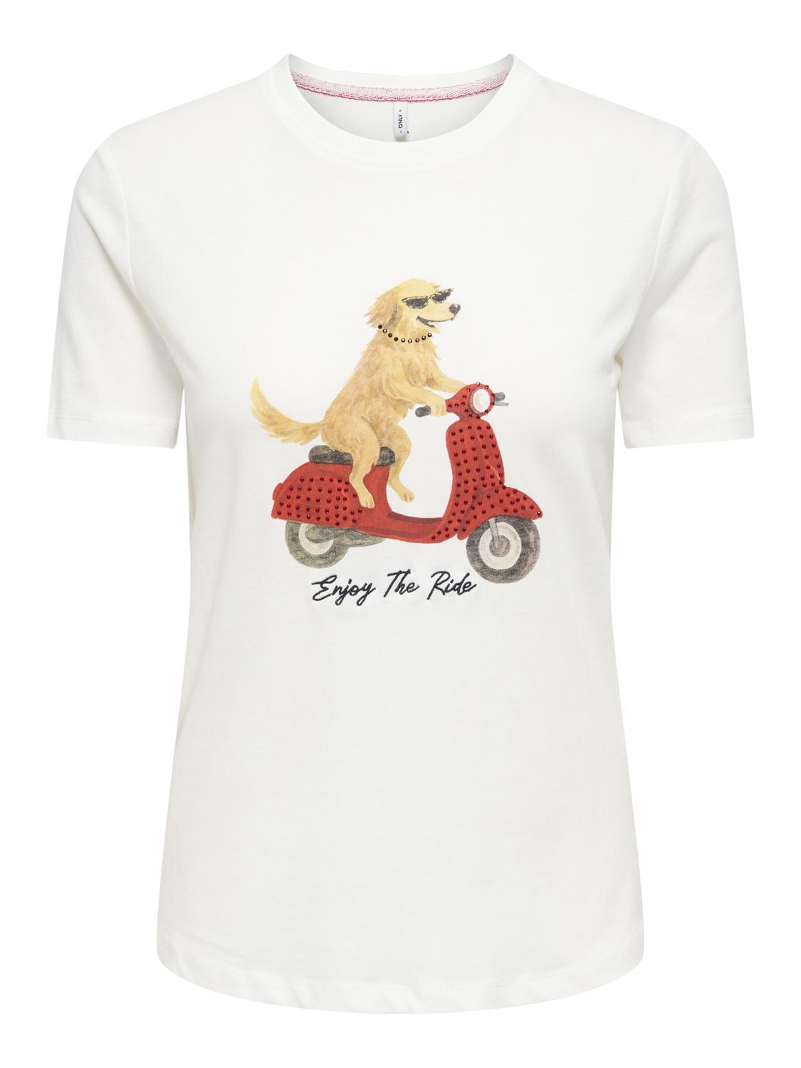 15353246CLOUD DANCER()DOG RIDE