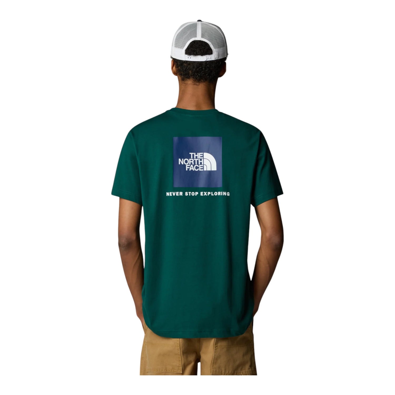 NF0A87NPA1BDEEP NORI_3_P