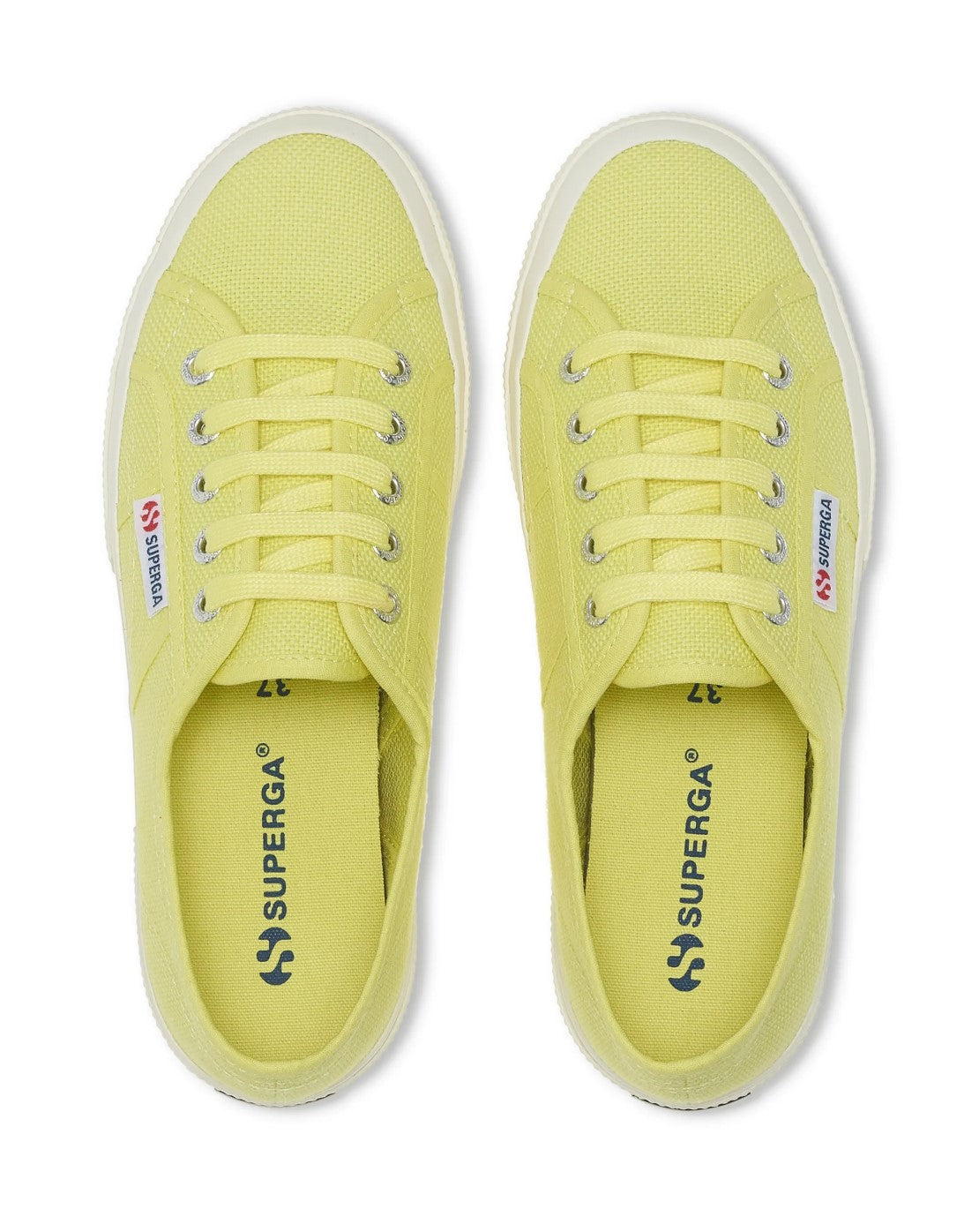 S000010SUNNY LIME-FAVORIO_3_P