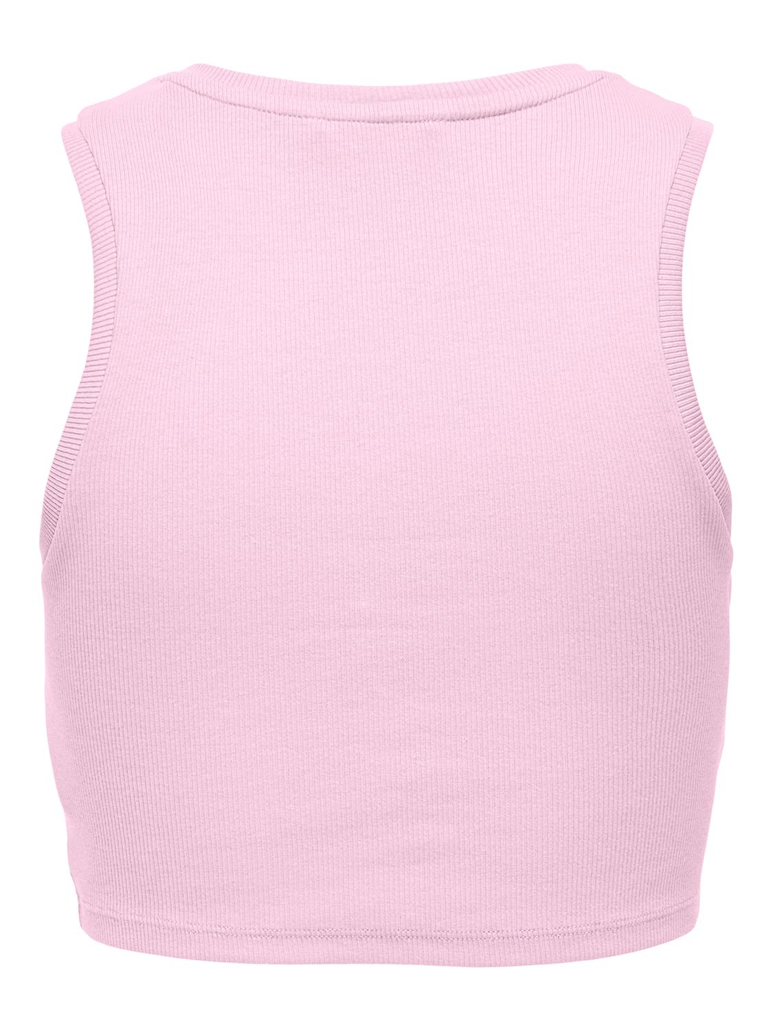 15282771PINK LADY_1_P