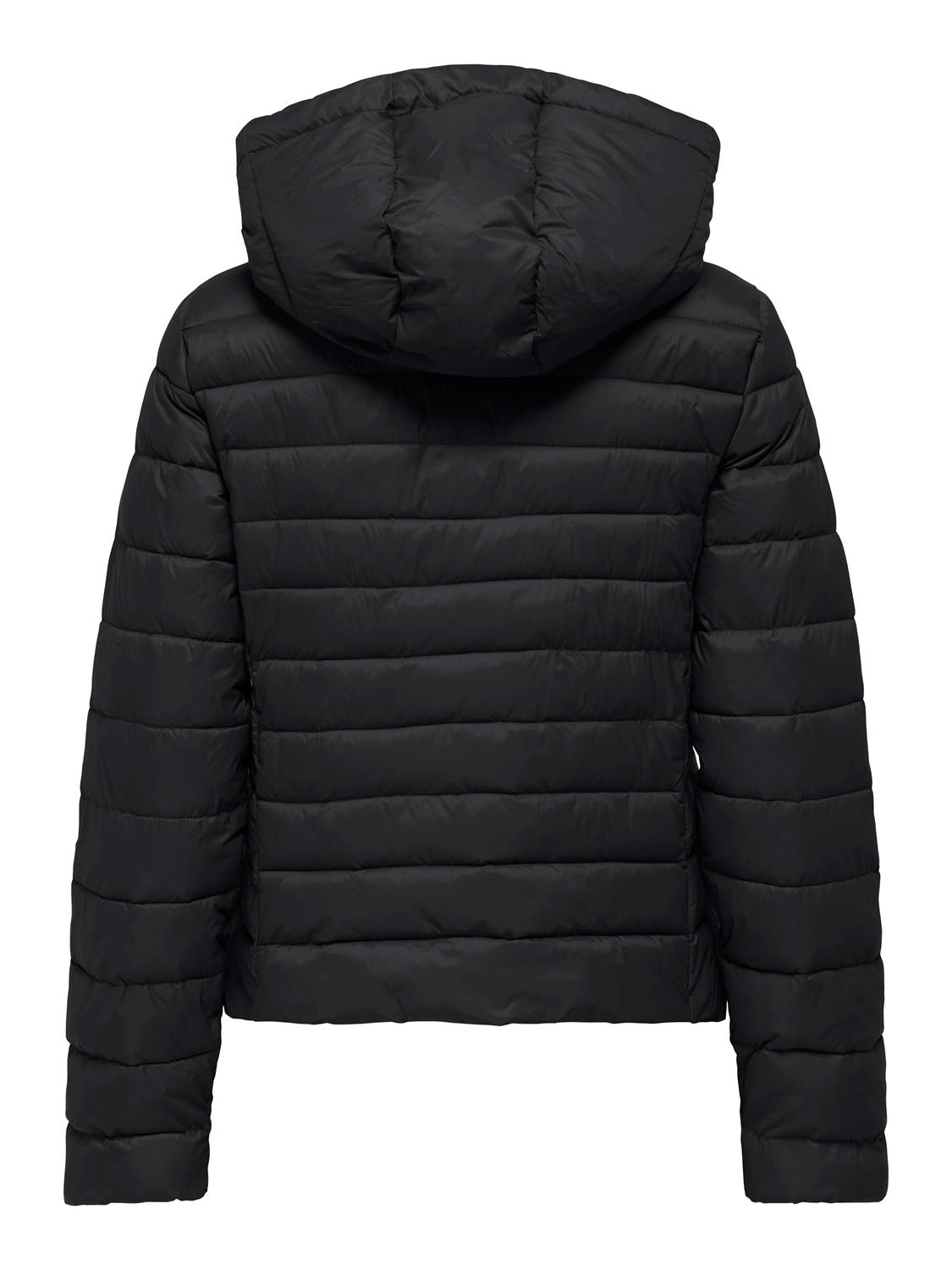 15352020BLACK_1_P