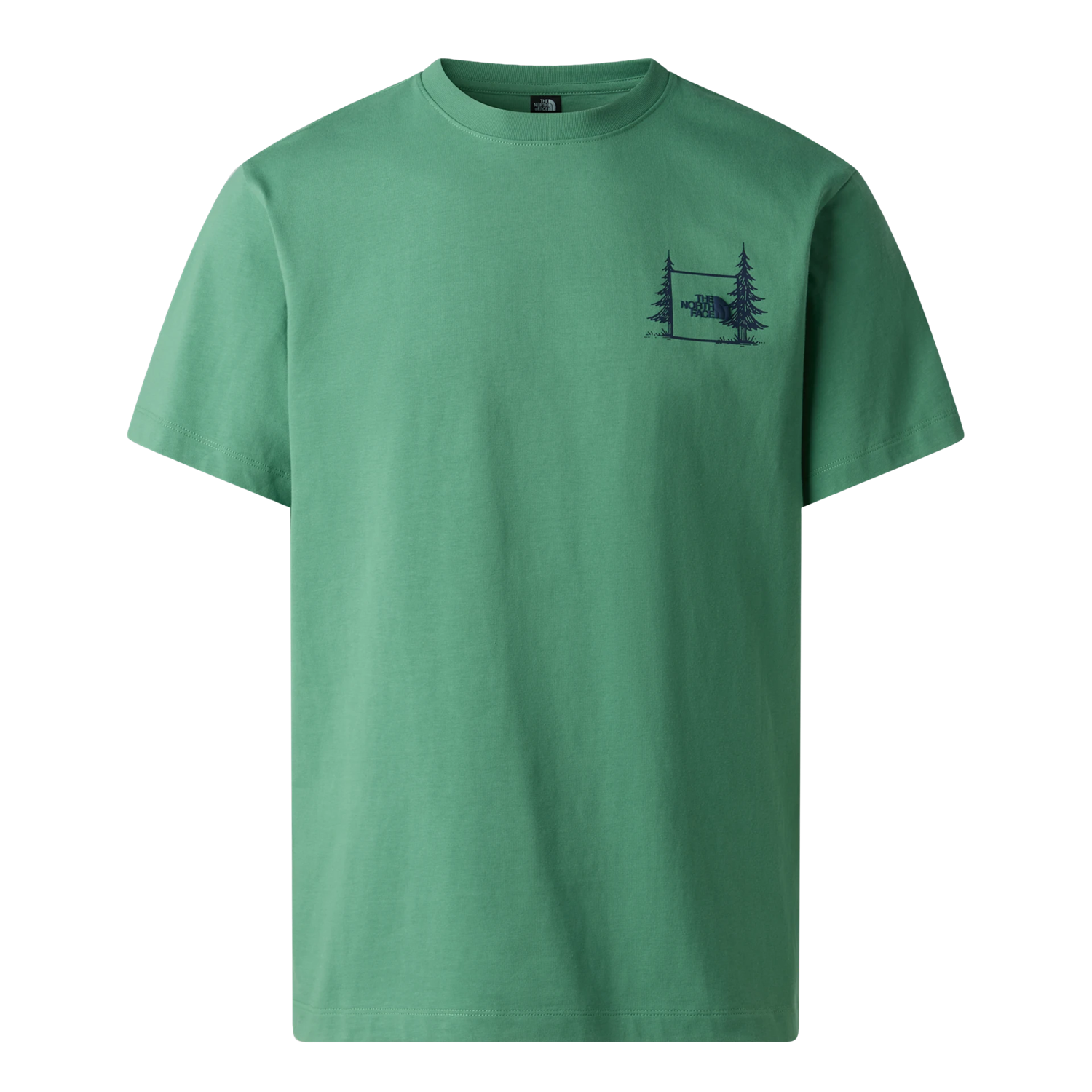 NF0A8GQMG57 DIMMED ALGAE