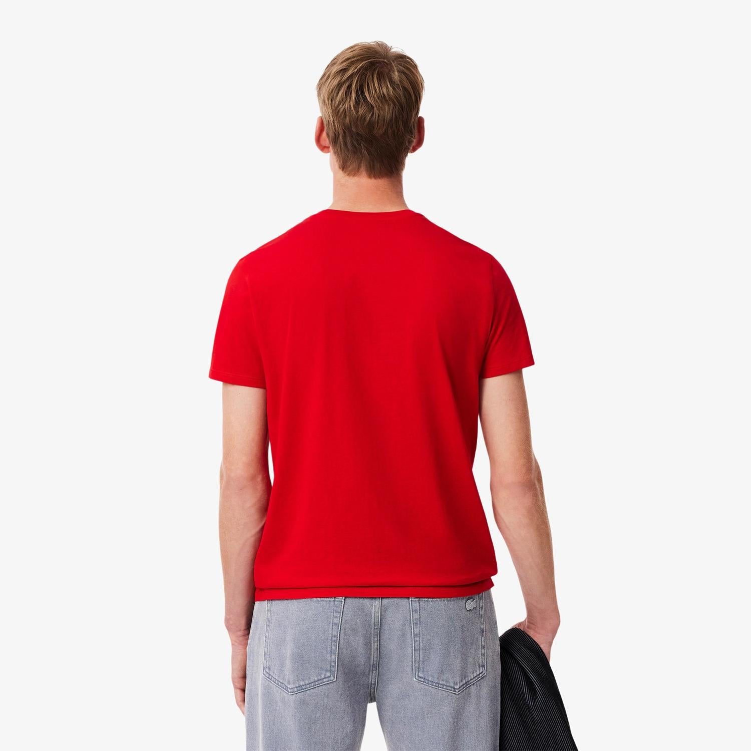 TH6709 00240 ROUGE_2_P